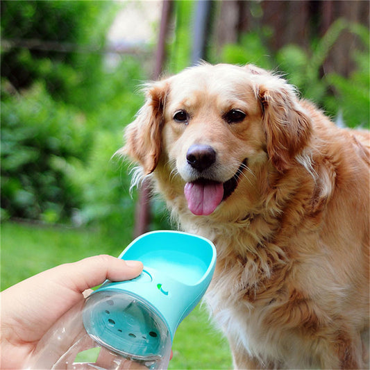 Pet Water Cup Outdoor Portable Water Bottle by Brullon