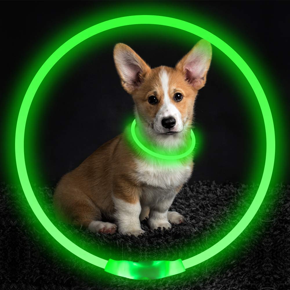 Pet Flashing Collar by Brullon